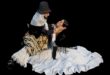 Martín Fierro y su Mujer - Ballet Folklorico Nacional